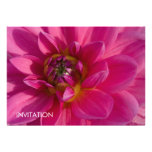 Pink Dahlia Announcements