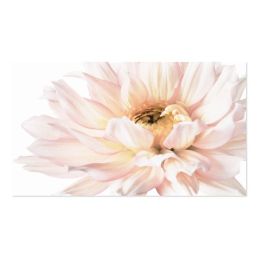 Pink Dahlia Artwork - Customize Business Cards (front side)