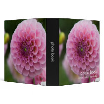 Pink Dahlia
