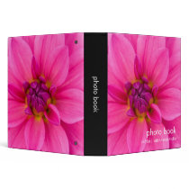 Pink Dahlia