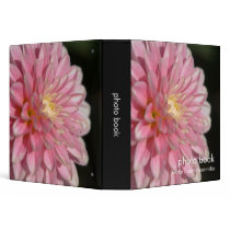 Pink Dahlia