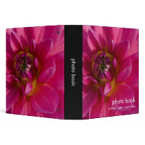 Pink Dahlia