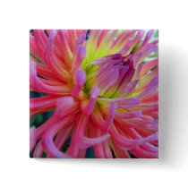 Pink Dahlia Buttons