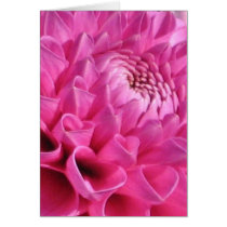 Pink Dahlia Card by ggbythebay Pink Dahlia Card