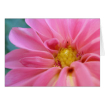 Pink Dahlia cards by dannamarie72 Pink Dahlia cards