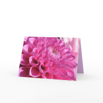 Pink Dahlia Card