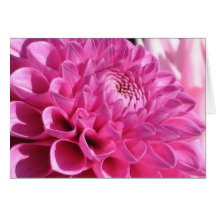 Pink Dahlia Card