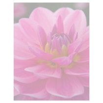 Pink Dahlia DSC4612 Letterhead Template