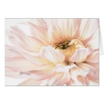 Pink Dahlia Flower - Dahlias Customized Template Greeting Cards