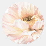 Pink Dahlia Flower - Dahlias Customized Template Stickers