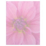 Pink Dahlia Custom Letterhead