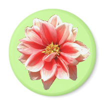Pink Dahlia Magnet
