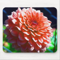 Pink Dahlia mousepads