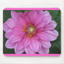 pink dahlia mousepad