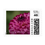 Pink Dahlia • November Wedding Stamp
