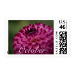 Pink Dahlia • October Wedding Stamp