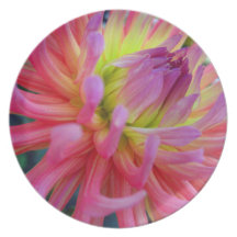Pink Dahlia Plate