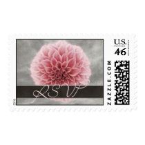 Pink Dahlia • RSVP postage