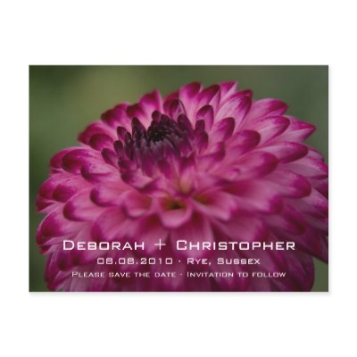 Pink Dahlia Save the Date Postcard