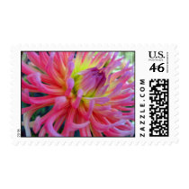 Pink Dahlia Stamps