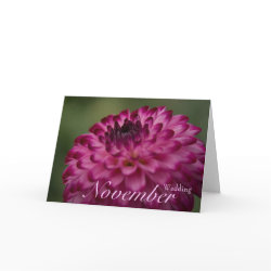 Pink Dahlia • Wedding Announcement Card card