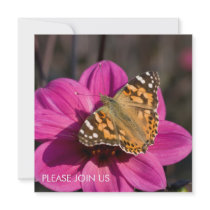 Pink Dahlia with Painted Lady DSC6079 invitations by HortusFloridus Pink Dahlia with Painted Lady DSC6079 invitations