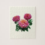 Pink Dahlias, Kidd's Climax Jigsaw Puzzle