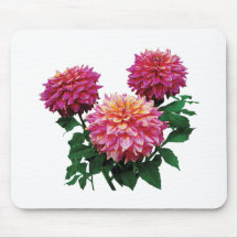 Pink Dahlias Kidds Climax Mouse Pads