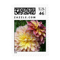 Pink Dahlias Postage postage