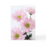Pink Daisies