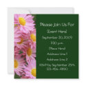 Pink Daisies Flower Photography Party Invitation invitation