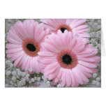 greeting, card, plant, flora, floral, flower,