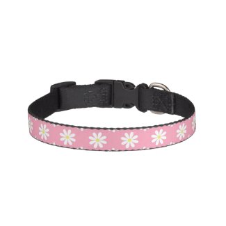 Pink Daisies Pattern Dog Collar