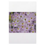 Pink Daisies Plus stationery