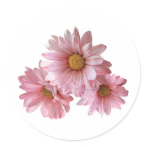 Pink Daisies stickers by SusanSavad Pink Daisies stickers