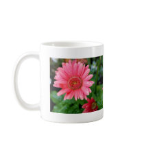 Pink Daisy after rain Mug