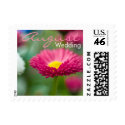 Pink Daisy • August Wedding Stamp stamp