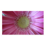 Pink Daisy Beauty Business Card Template