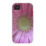 Pink Daisy Beauty iPhone 4/4S Cover