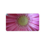 Pink Daisy Beauty Labels