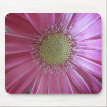 Pink Daisy Beauty mousepads