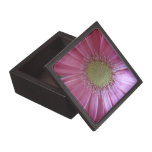 Pink Daisy Beauty Premium Jewelry Boxes