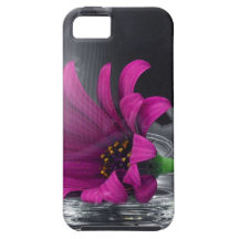 Pink Daisy Closeup In A Wine Glass iPhone 5 Cases