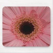 Pink Daisy Closeup Mousepad mousepads
