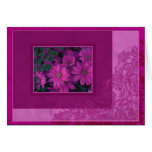 Pink Daisy Floral Lace