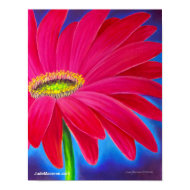 Pink Daisy Flower Art Giclee - Poster print