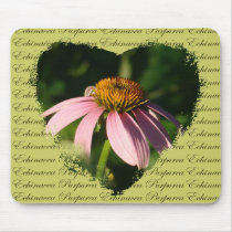 Pink Daisy flower mousepads