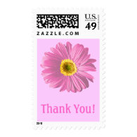 Pink Daisy Flower Thank You Stamps