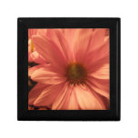 Pink Daisy Keepsake Box