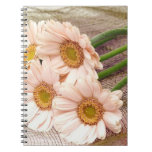 Pink Daisy notebooks